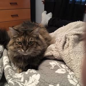 Meet your Posher, Melissa